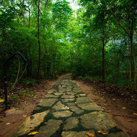 C B S Resort Udawalawe Zewnętrze zdjęcie
