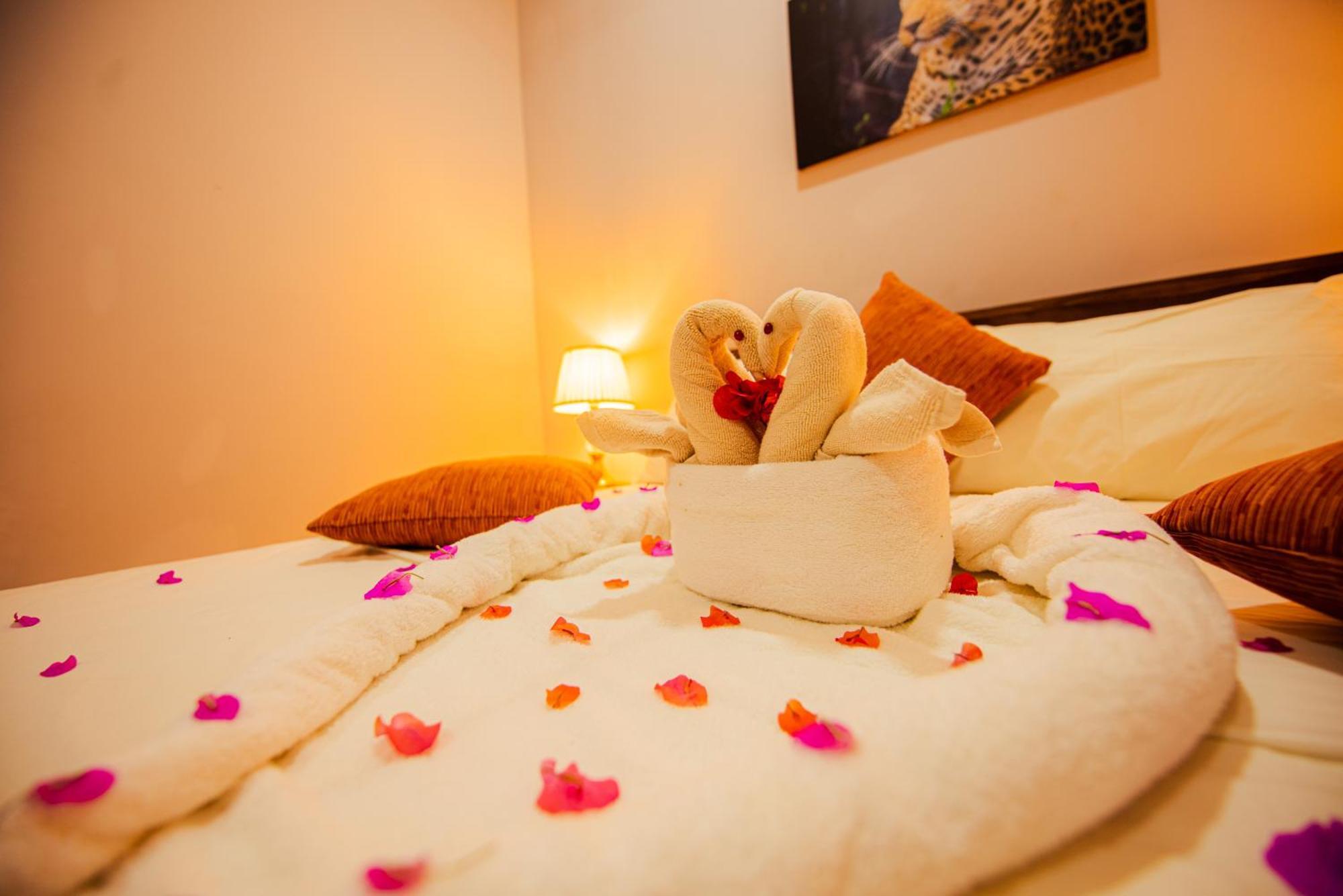 C B S Resort Udawalawe Zewnętrze zdjęcie